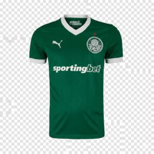 Camisa do Palmeiras I 25 Masculina Torcedor